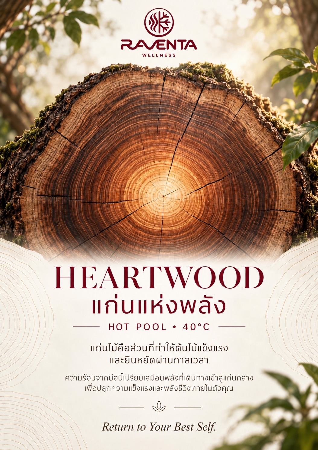 แก่นแห่งพลัง